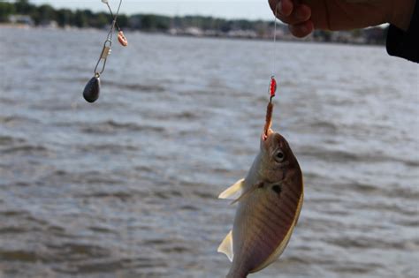 清徐縣附近哪裏有野釣點，不妨一同探討一下釣魚的樂趣與當地風景的融合之道。